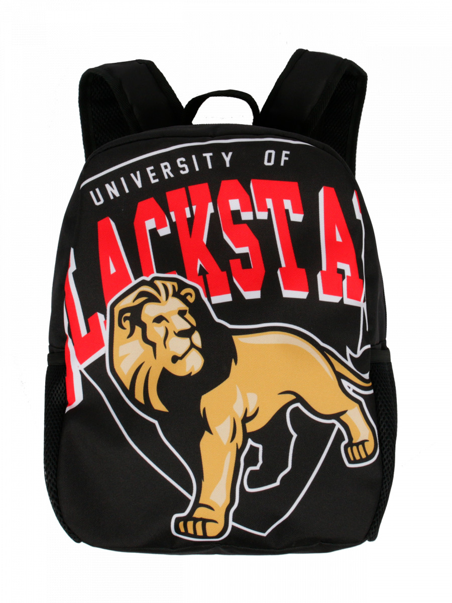 Рюкзак UNIVERSITY