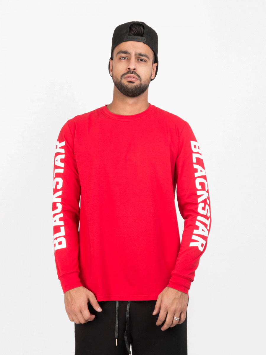 Лонгслив BASIC 13 BS