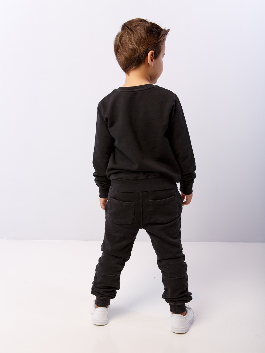 Костюм спортивный LION INK