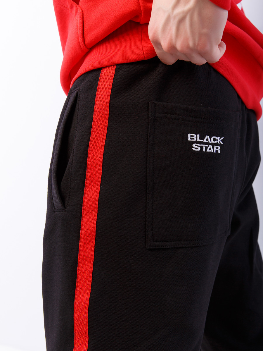 Брюки мужские BASIC 13 BS