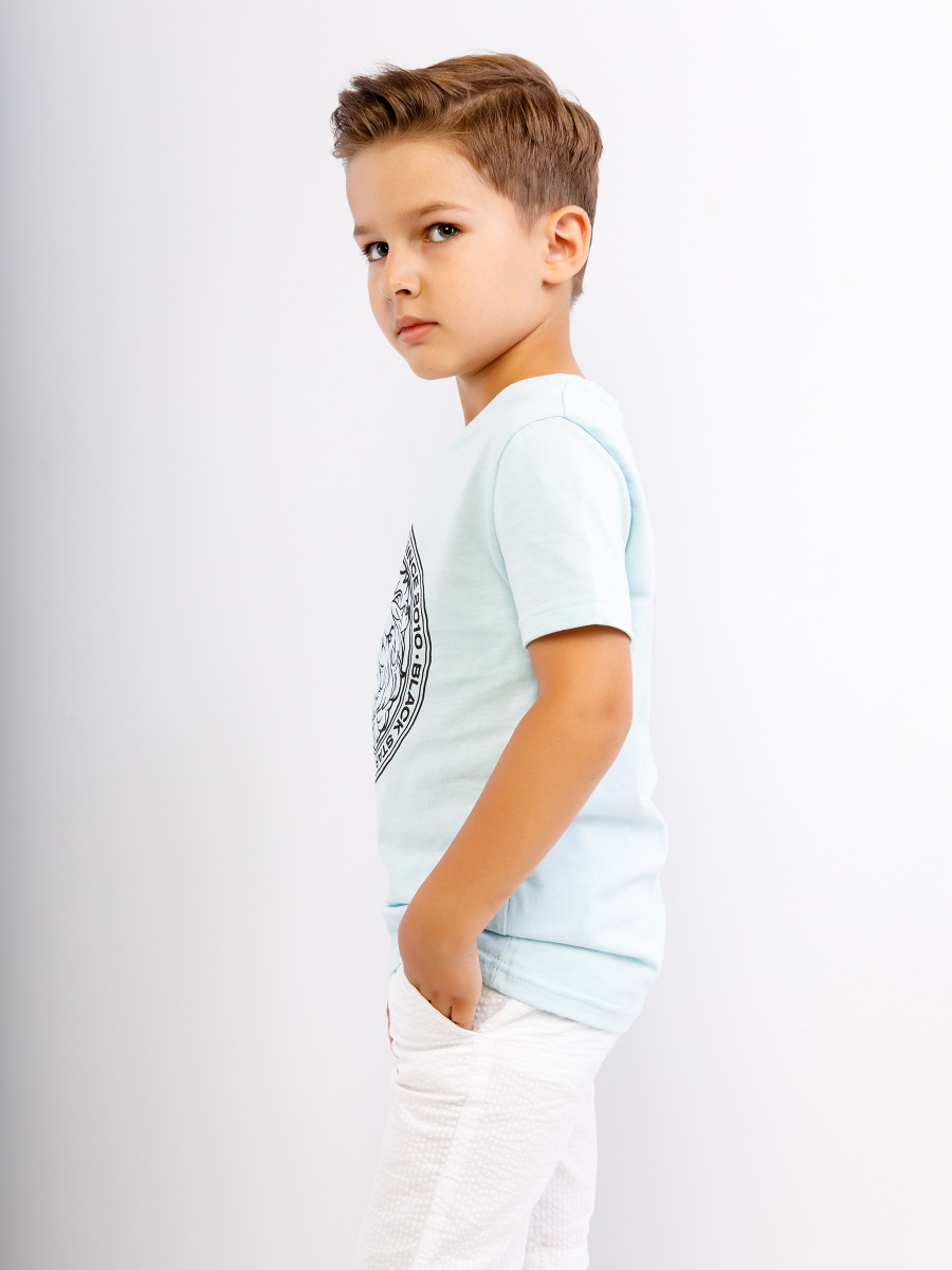 Футболка LION BASIC