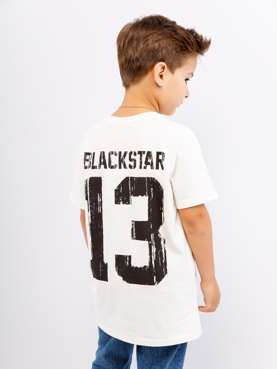 Футболка BASIC 13 2.0