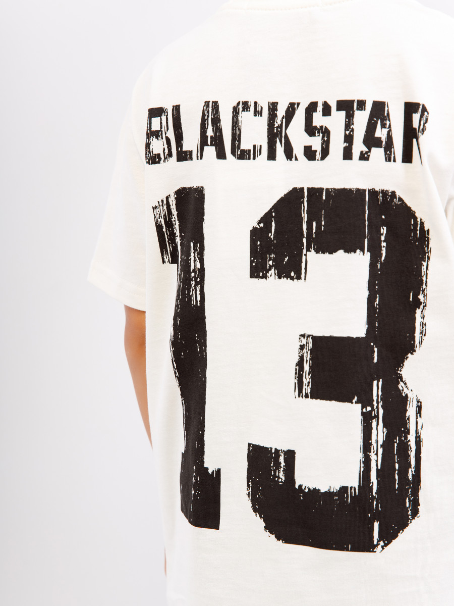 Футболка BASIC 13 2.0