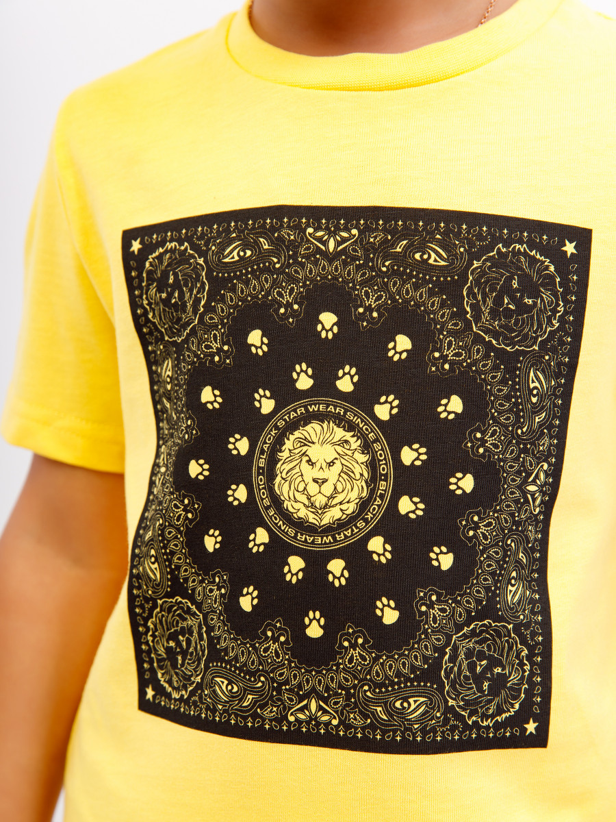 Футболка BANDANA