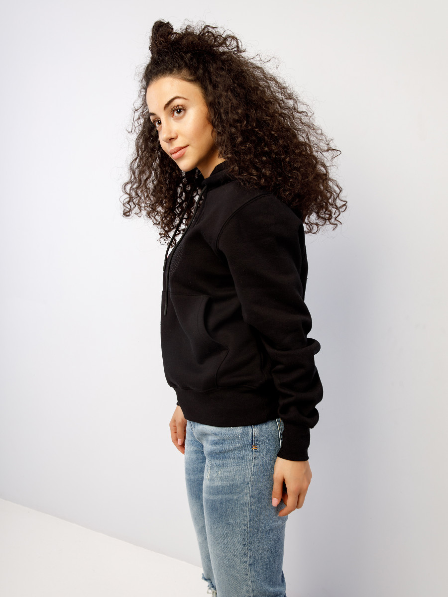 Худи BS LION LOGO