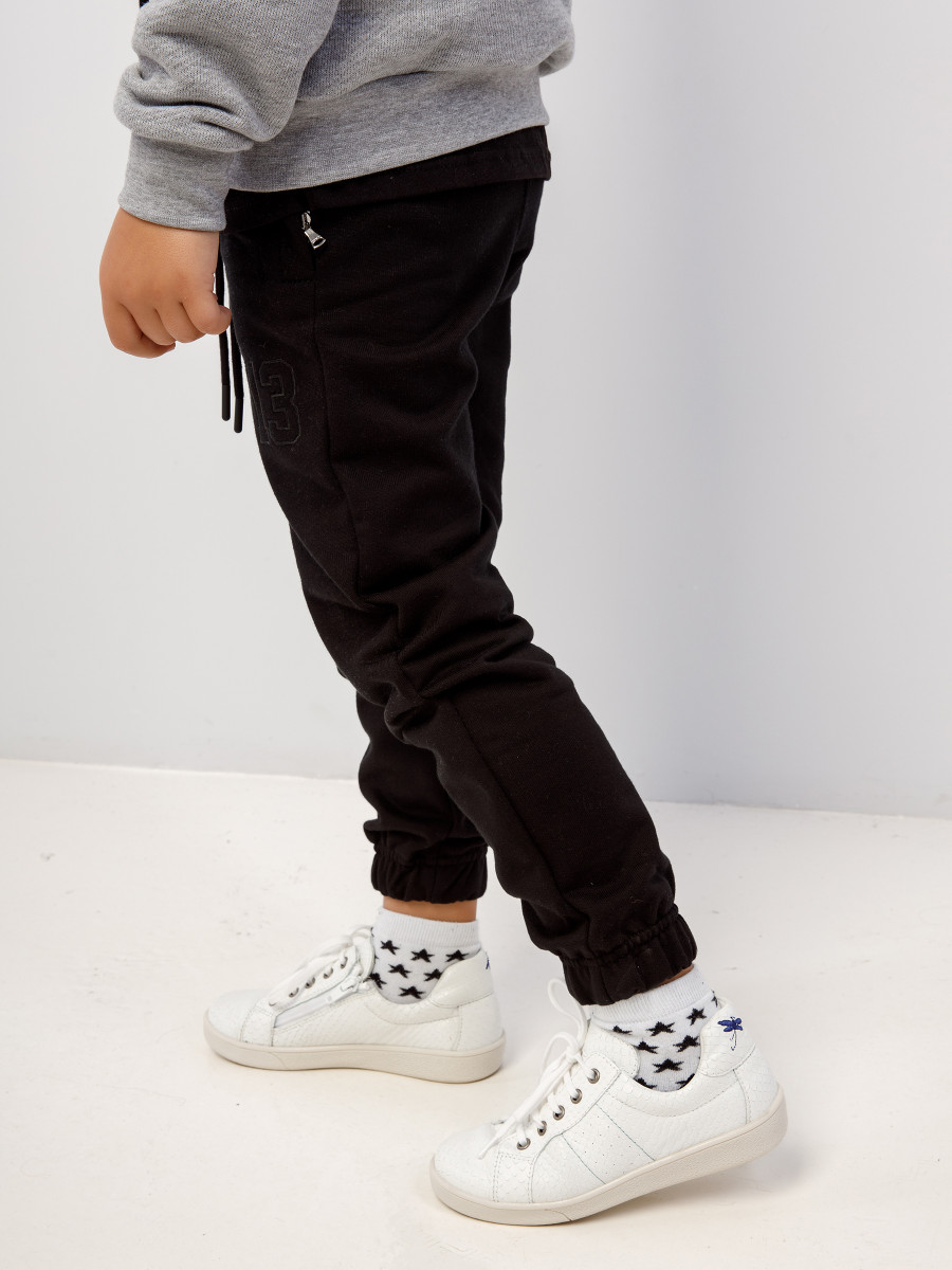 Брюки BASIC 3.0