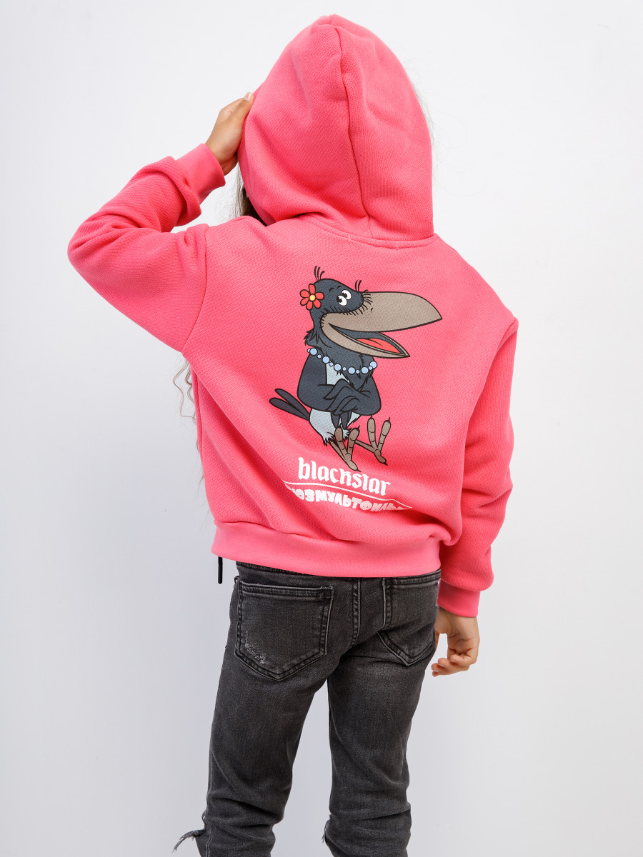 Худи ВОРОНА BS