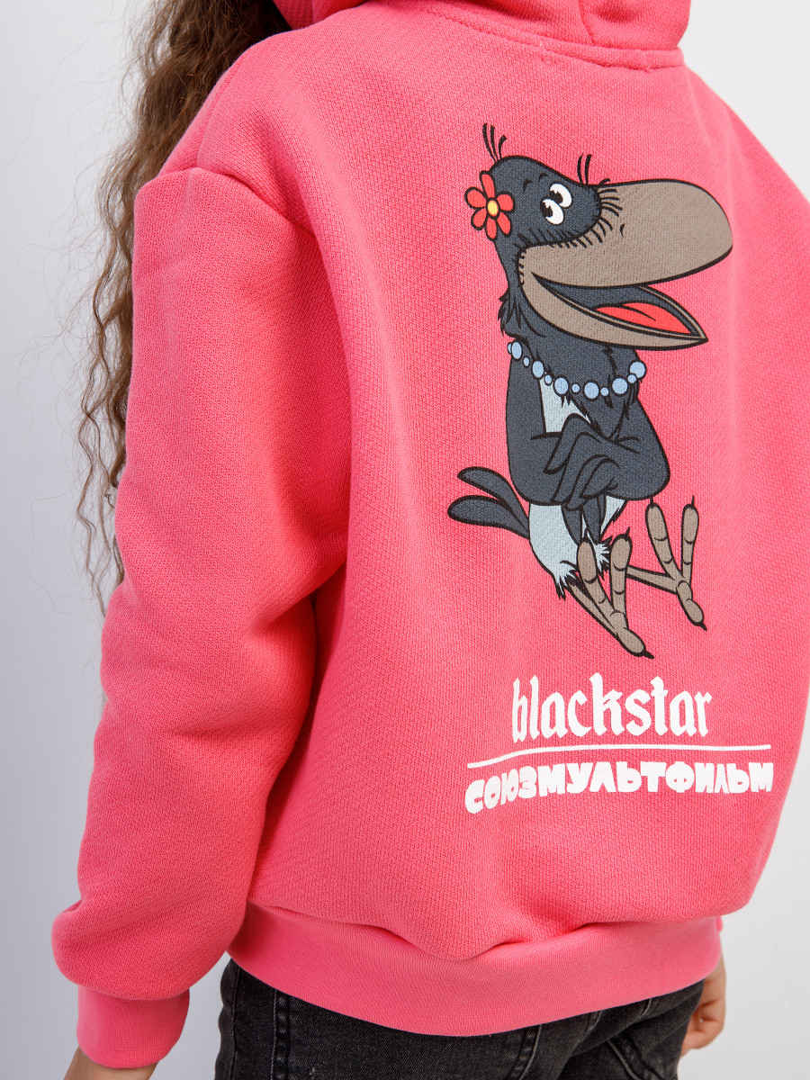 Худи ВОРОНА BS