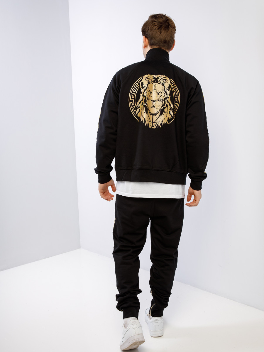 Костюм спортивный GOLD LION 2.0