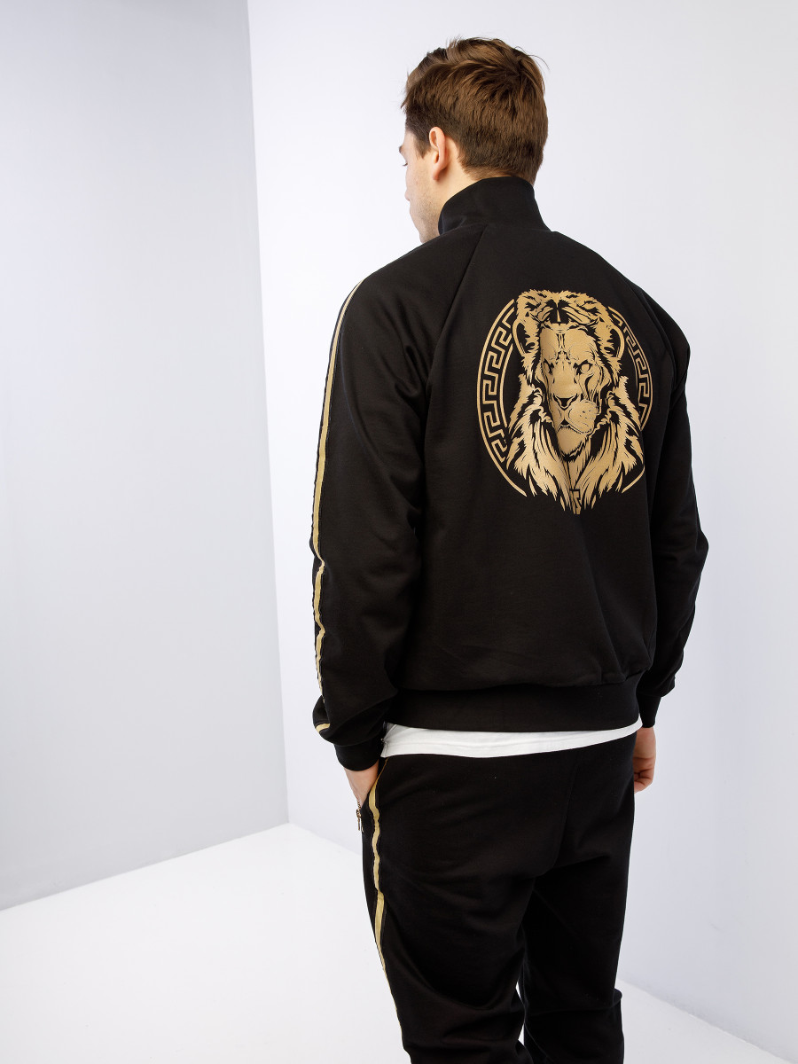 Костюм спортивный GOLD LION 2.0