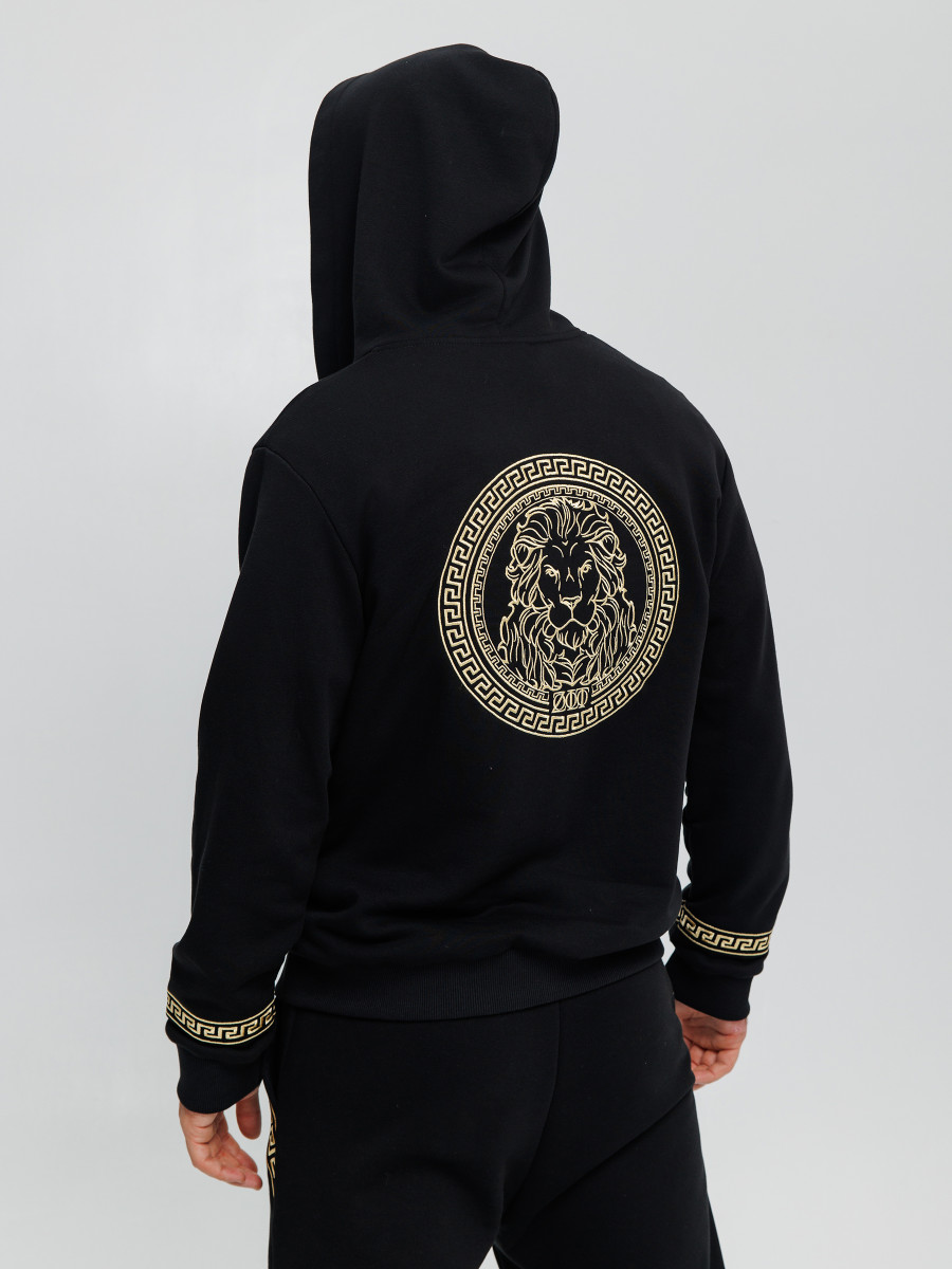 Костюм спортивный ZLT GREEK LION