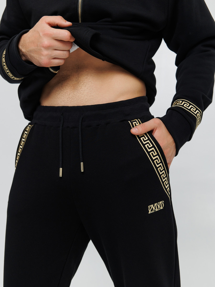 Костюм спортивный ZLT GREEK LION