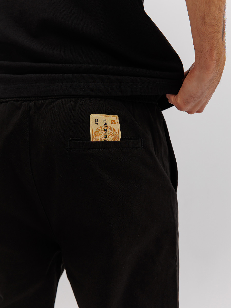 Брюки ZLT Gold Card