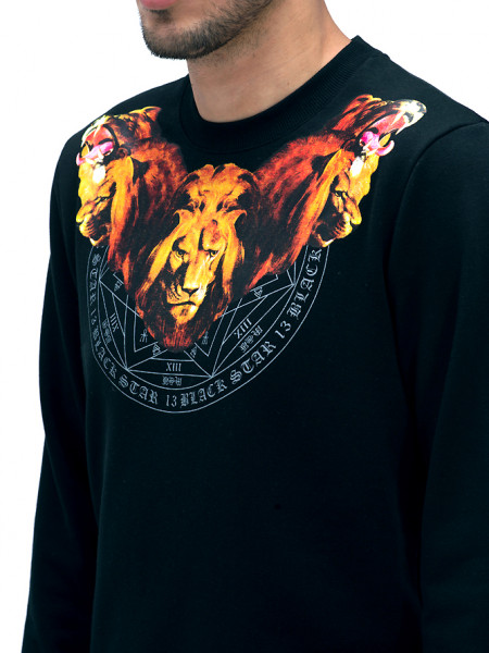 Толстовка Lion Cult